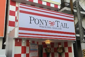 Ponytail Wakayama image