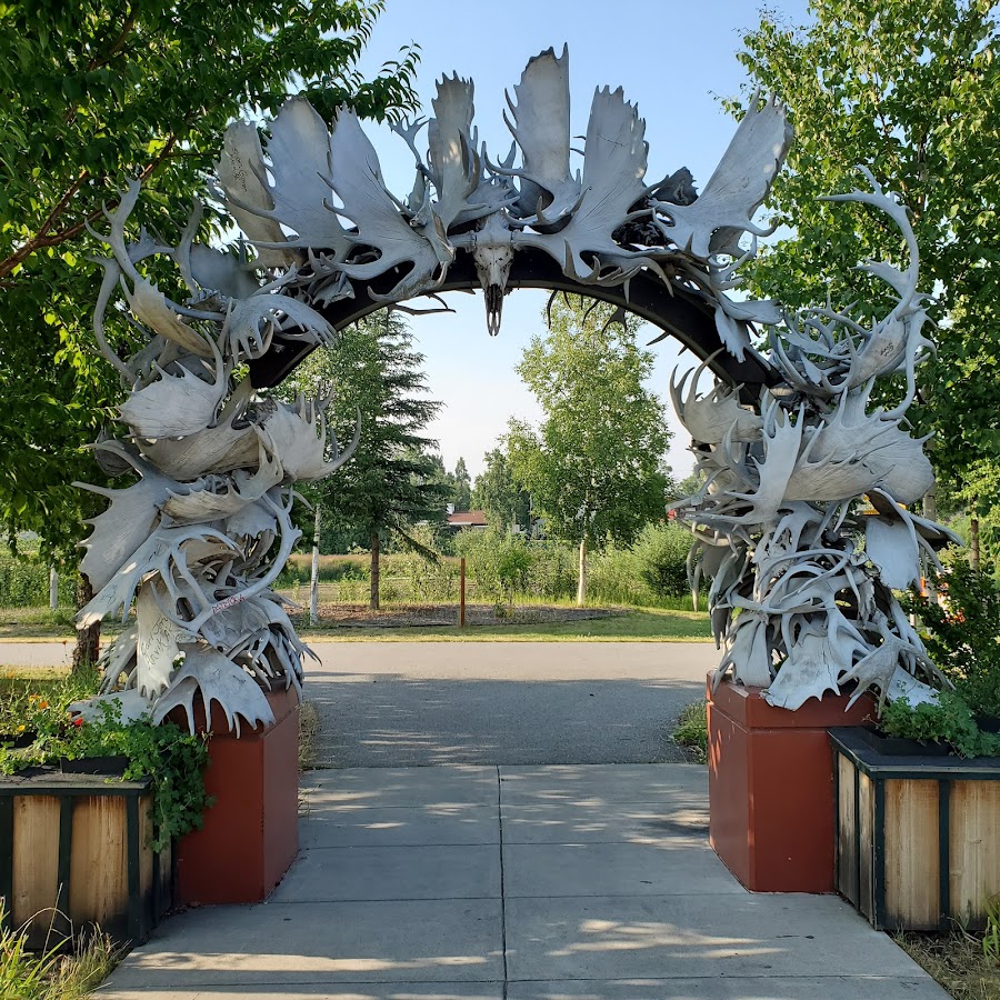 Moose Antler Arch