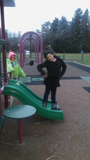 Tourist Attraction «Manoogian Mansion», reviews and photos, 9240 Dwight St, Detroit, MI 48214, USA