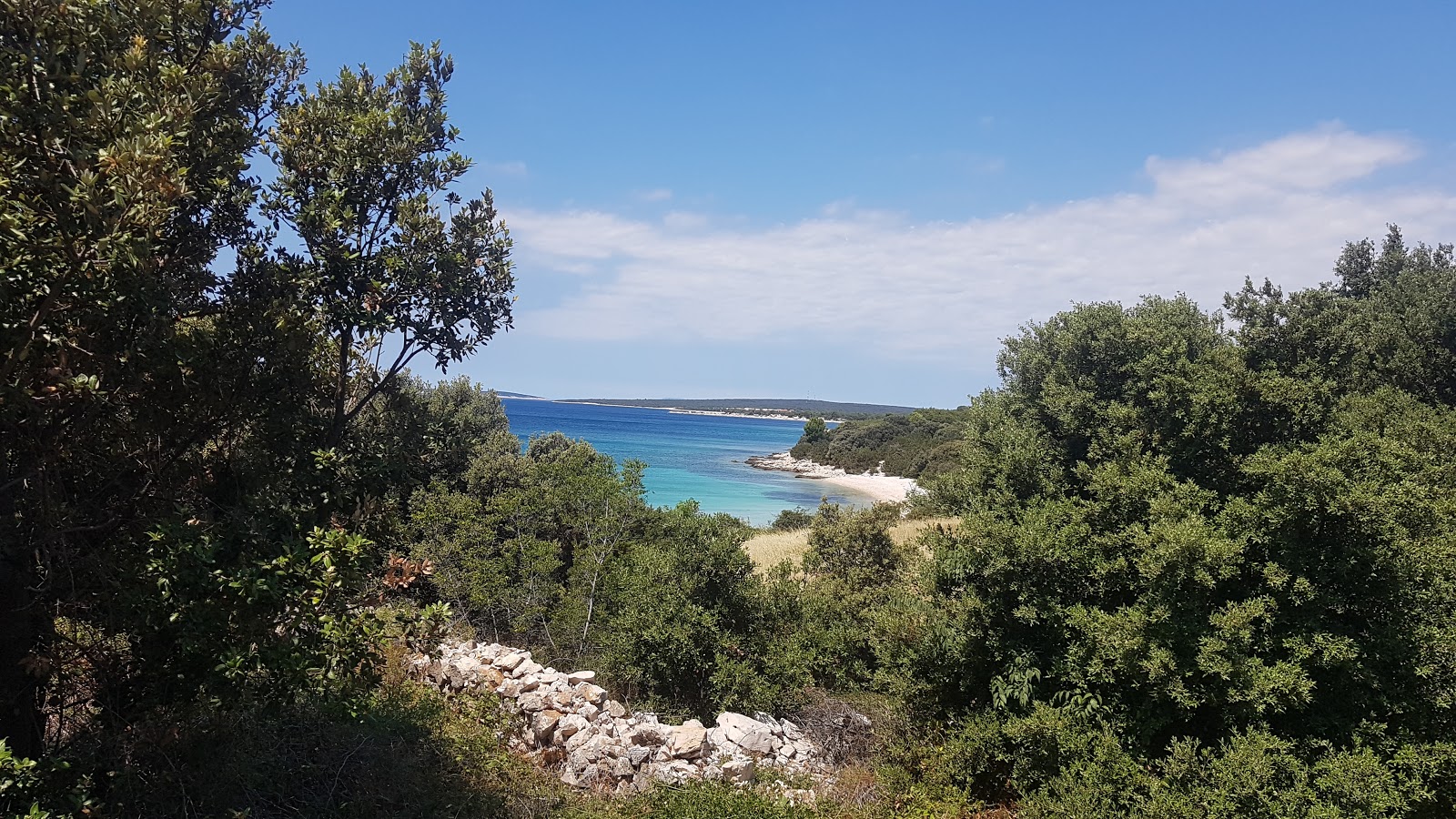 Fotografie cu Stork beach zonă sălbatică