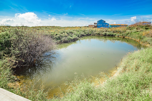 Beach Resort «Sandcastle Condominiums & Event Center», reviews and photos, 800 Sandcastle Dr, Port Aransas, TX 78373, USA