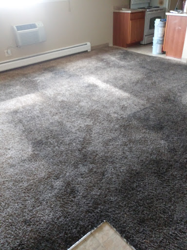 Elevation Carpet Cleaning