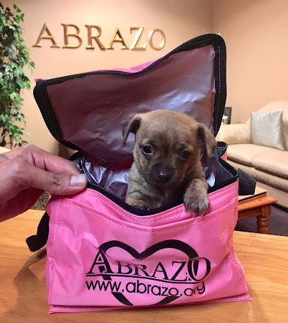 Abrazo Adoption Associates