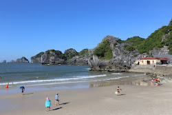 Photo de Cat Co 3 Beach avec un niveau de propreté de très propre