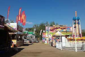 Moree Showground image