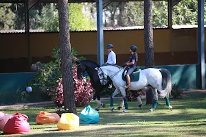 Portugal Equestrian image