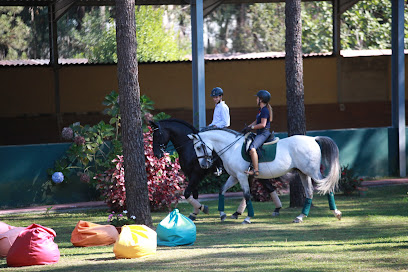 Portugal Equestrian