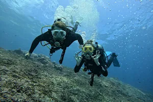 Bali Aqua - Nusa Penida Dive Center image