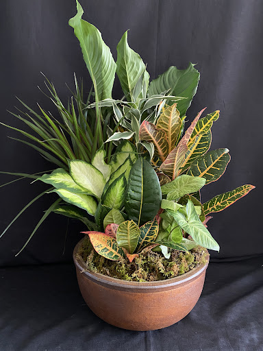 Florist «Rosegreen Florist», reviews and photos, 4201 Irvington Blvd, Houston, TX 77009, USA