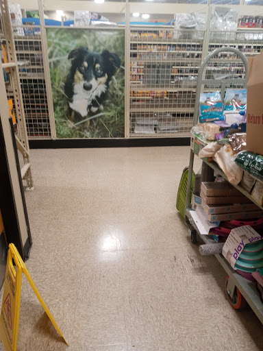 Pet Supply Store «PetSmart», reviews and photos, 534 US-441, Lady Lake, FL 32159, USA