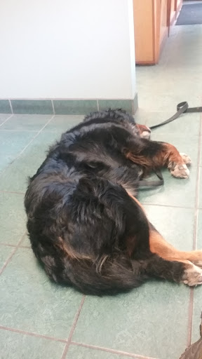 Mechanic «Mostly Automotive Repair», reviews and photos, 253 Biltmore Ave, Asheville, NC 28801, USA