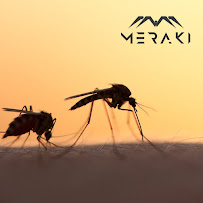 Meraki Pest Control - Photo 1 - Car repair in , Denton