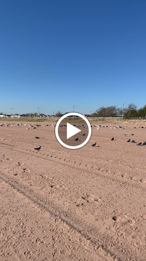 Monument «Fountain of the Dolphins», reviews and photos, 378 Sand Ln, Staten Island, NY 10305, USA