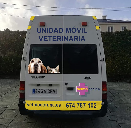 Vetmo-veterinario A Domicilio en Sada