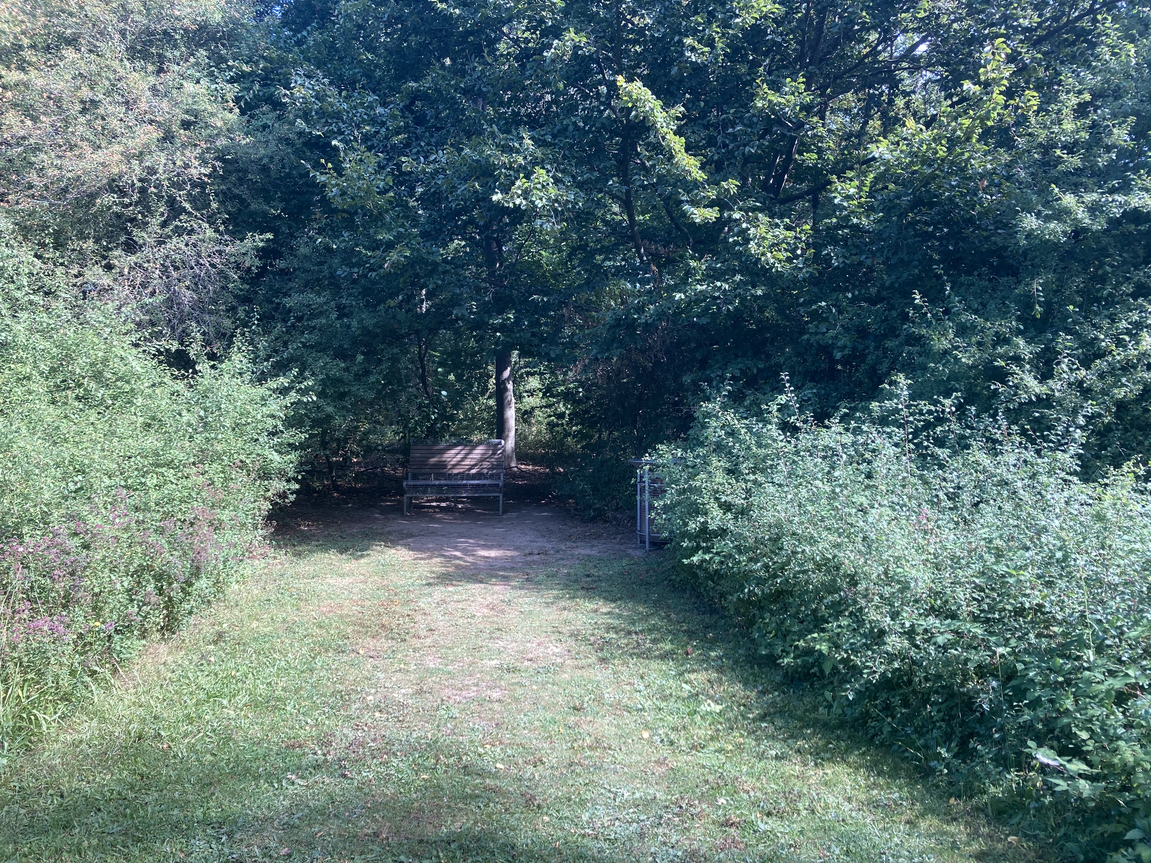 Photo n° 42 de l'avis de Cécile-Laure.H fait le 12/09/2021 à 16:29