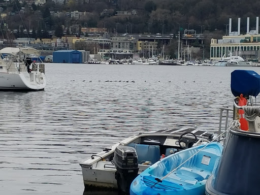 Park «Lake Union Park», reviews and photos, 860 Terry Ave N, Seattle, WA 98109, USA