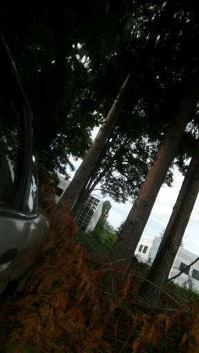 Hardware Store «Harbor Freight Tools», reviews and photos, 4520 Lacey Blvd SE #30, Lacey, WA 98503, USA