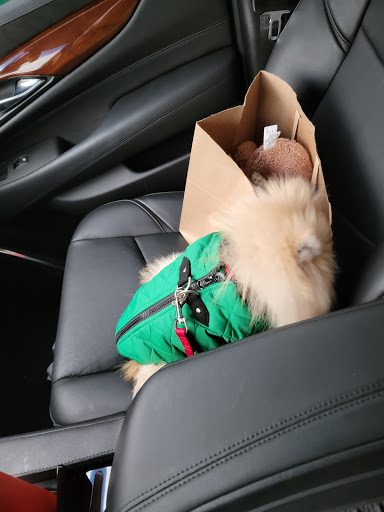 Pet Supply Store «Paddywack», reviews and photos, 15407 Main St #101, Bothell, WA 98012, USA