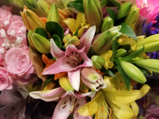 Grocery Store «Food Lion», reviews and photos, 5227 Waterway Dr, Dumfries, VA 22025, USA