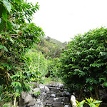 Photo n°5 de l'avis de Nuno.e fait le 18/10/2019 à 18:12 sur le  Café Nunes à Sao Jorge