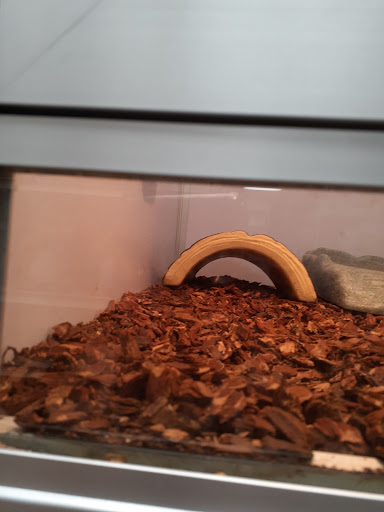 Pet Supply Store «Pet Supermarket», reviews and photos, 1040 Palm Coast Pkwy NW, Palm Coast, FL 32137, USA