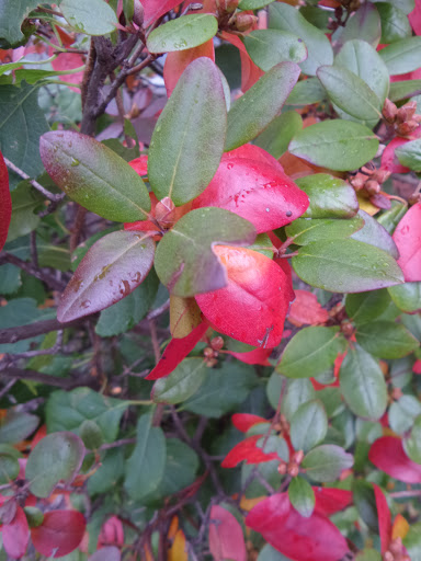 Tire Shop «Post Road Used Auto Parts», reviews and photos, 785 Boston Post Rd E, Marlborough, MA 01752, USA