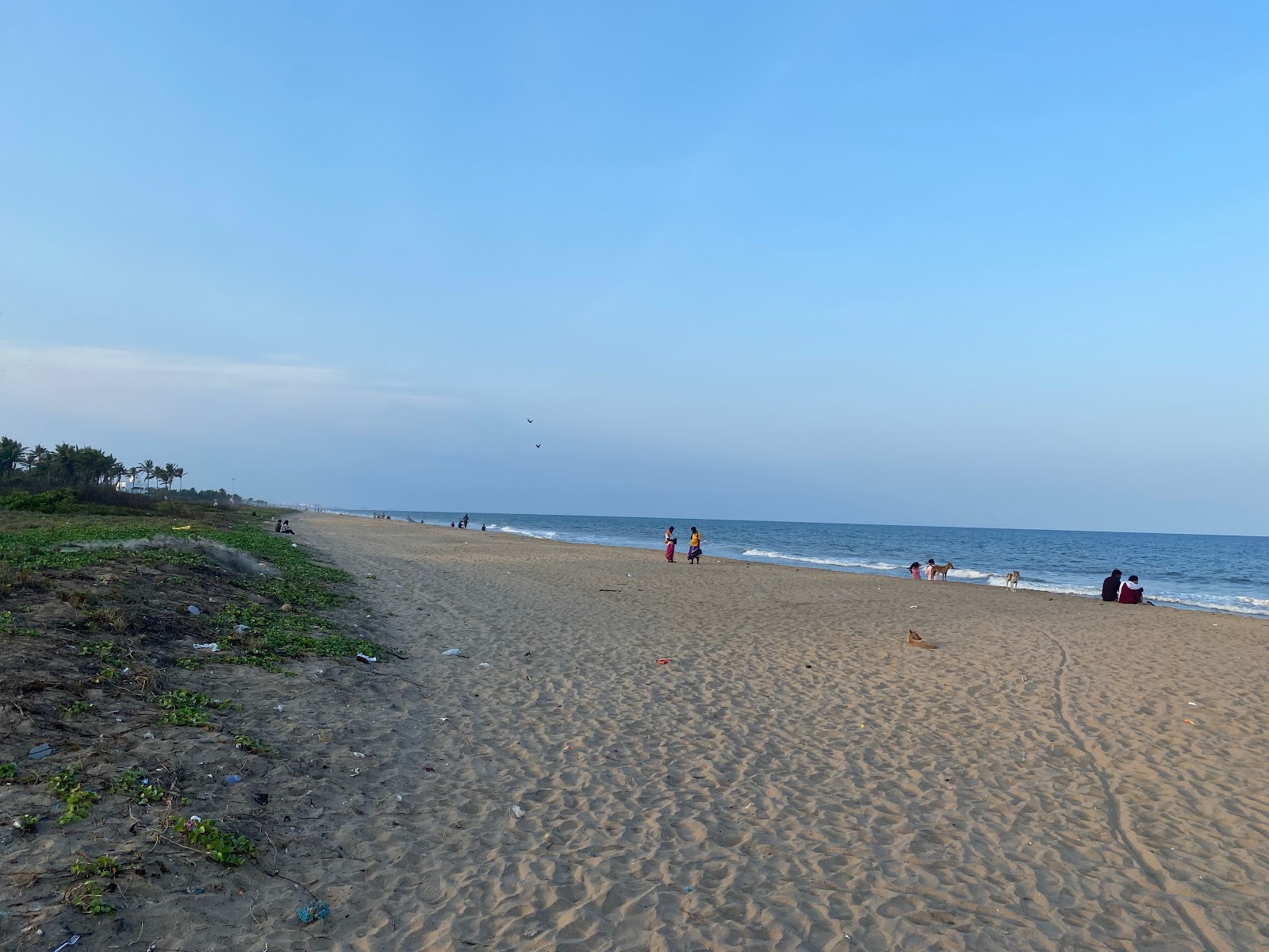 Foto de ECR Beach e o assentamento