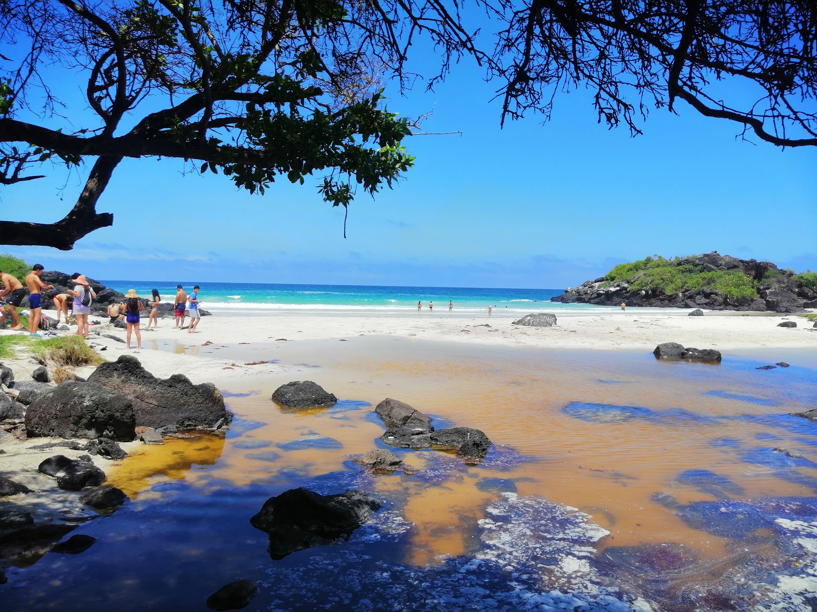 Photo de Puerto Chino situé dans une zone naturelle