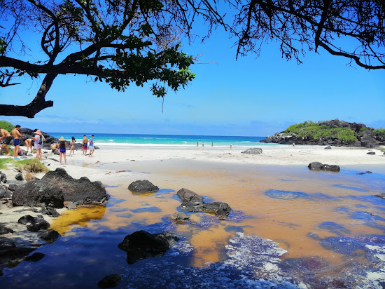 Puerto Chino