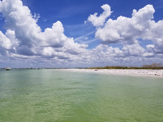 Honeymoon Island Beach