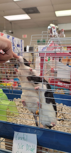 Pet Supply Store «Pet Needs Etc», reviews and photos, 28325 Telegraph Rd, Flat Rock, MI 48134, USA