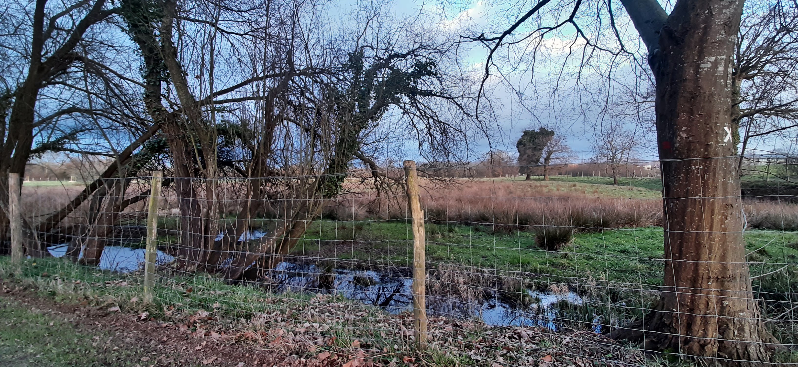 Photo n° 12 de l'avis de balouin.r fait le 11/03/2023 à 00:21
