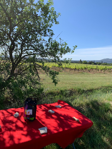 Domaine la forge carbou à Puichéric