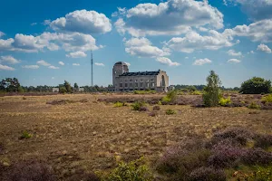 Hoog Buurlose Heide image