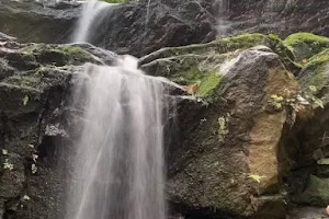 Ayyanar Falls image