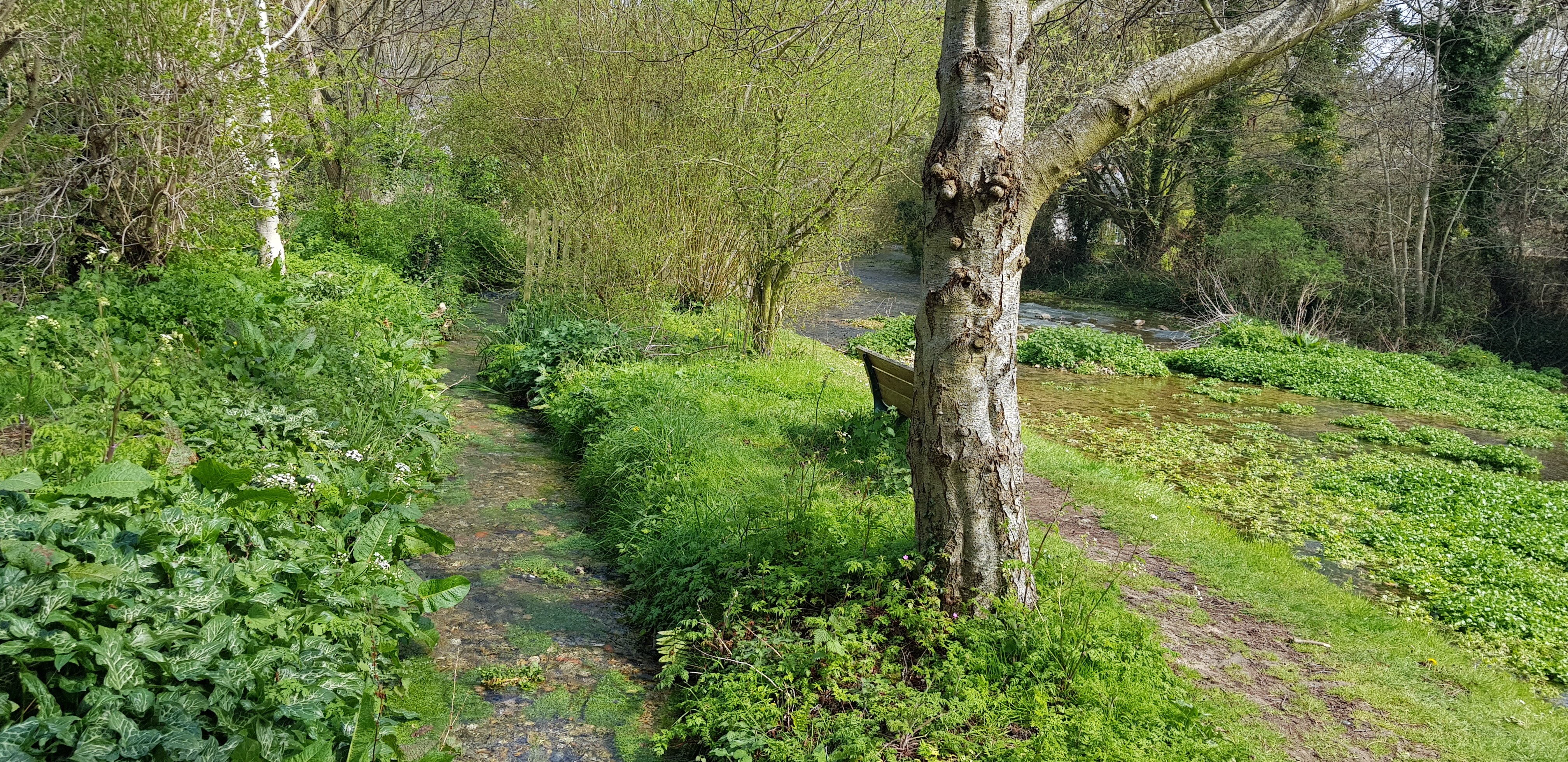 Photo n° 14 de l'avis de beatrice.r fait le 08/04/2019 à 15:08