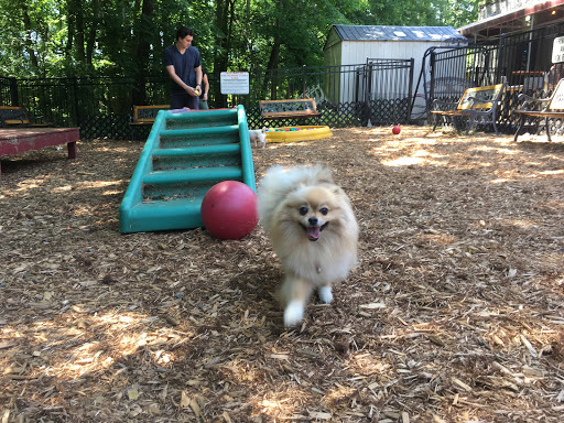 Pet Supply Store «The Hungry Puppy», reviews and photos, 1288 NJ-33, Farmingdale, NJ 07727, USA