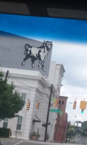 Performing Arts Theater «Durham Performing Arts Center», reviews and photos, 123 Vivian Street, Durham, NC 27701, USA