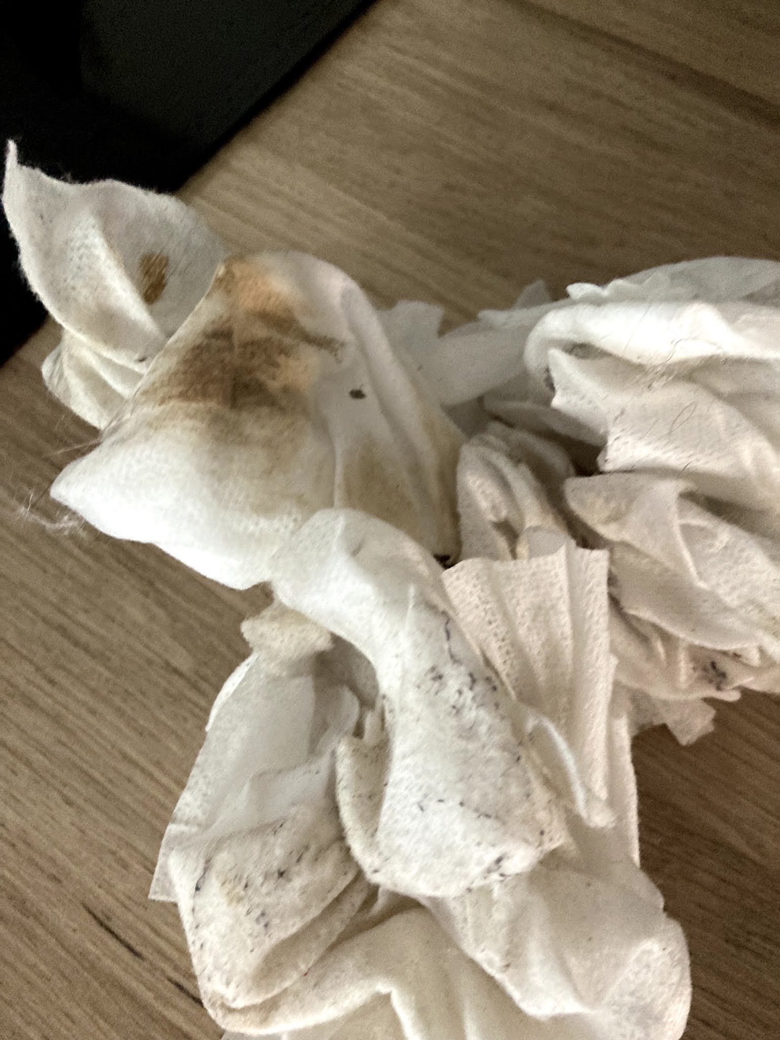 Photo n° 2 de l'avis de Loic.a fait le 17/08/2021 à 06:43