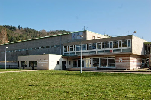 Centre de loisirs Accueil de loisirs L'Îlojeux Aurec-sur-Loire