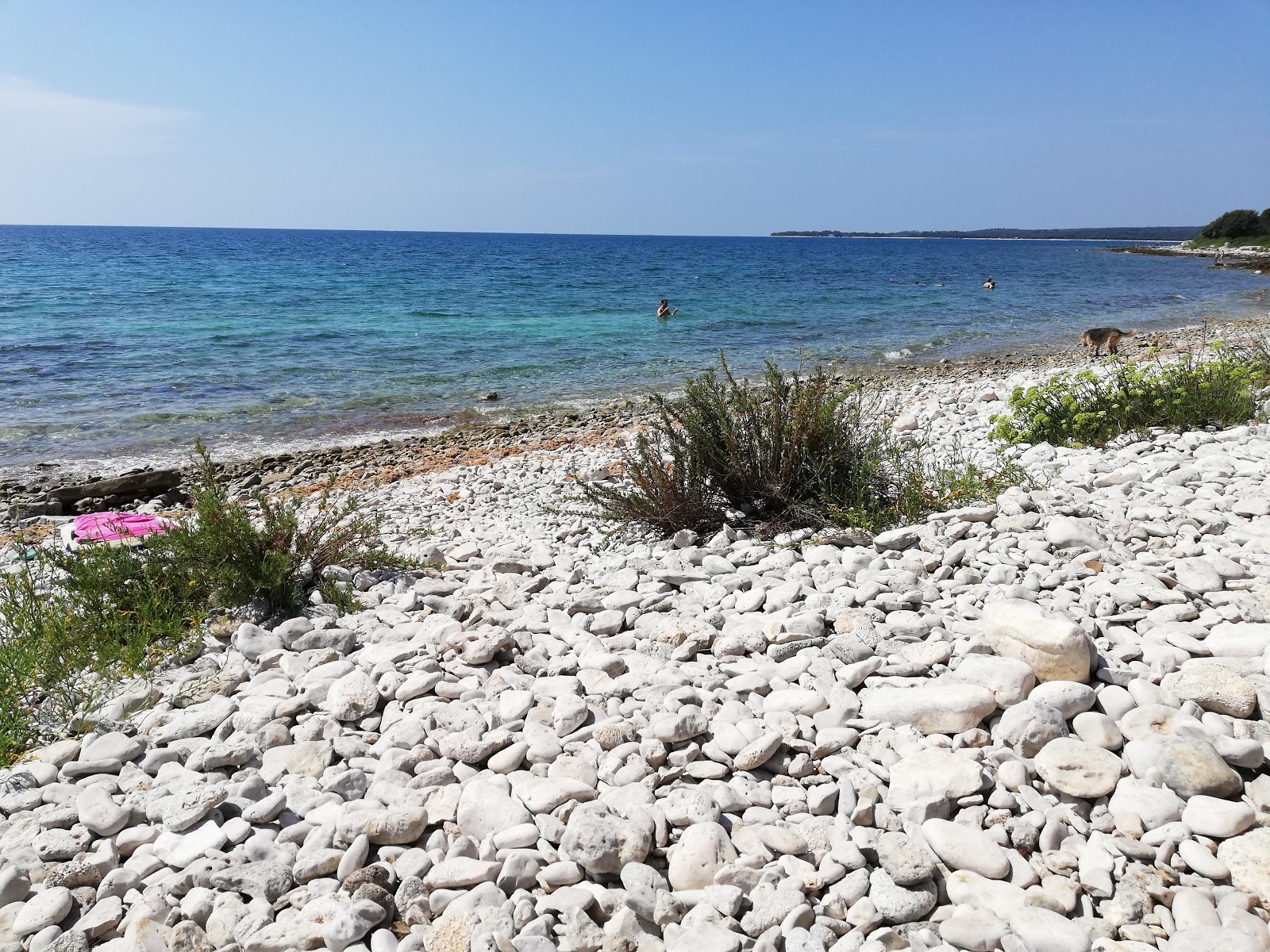 Photo de Dragonera beach avec un niveau de propreté de assez propre