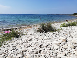 Photo de Dragonera beach avec un niveau de propreté de assez propre