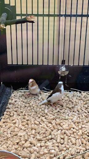 Pet Supply Store «PetSmart», reviews and photos, 1013 W University Ave, Georgetown, TX 78628, USA