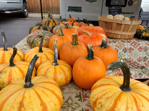 Arts Organization «HART Theatre», reviews and photos, 250 Pigeon St, Waynesville, NC 28786, USA