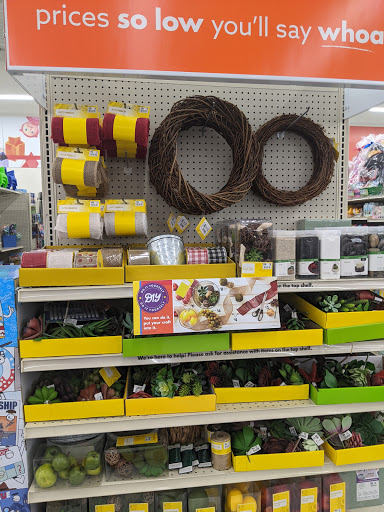 Discount Store «Big Lots», reviews and photos, 35603 S Gratiot Ave, Charter Twp of Clinton, MI 48035, USA