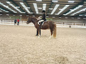 Moulton Equestrian Centre