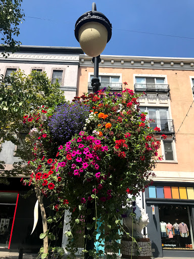 Patisserie «Cocola Bakery», reviews and photos, 333 Santana Row #1045, San Jose, CA 95128, USA