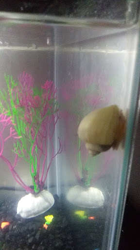 Pet Supply Store «Pet Supplies Plus», reviews and photos, 26230 Hoover Rd, Warren, MI 48089, USA