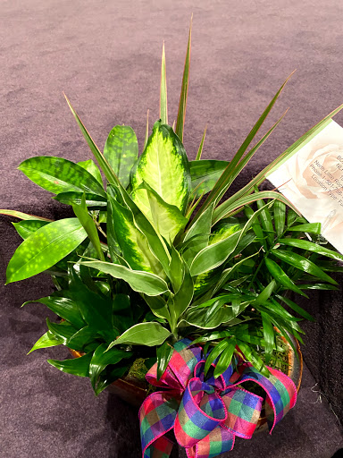 Florist «Fairytale Florals», reviews and photos, 3321 J.F.K. Blvd, North Little Rock, AR 72116, USA