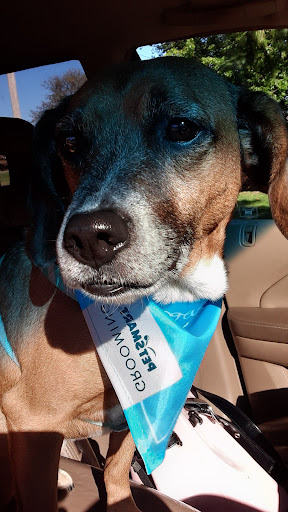 Pet Supply Store «PetSmart», reviews and photos, 5050 SE 14th St, Des Moines, IA 50320, USA